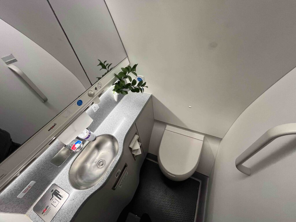 a bathroom with a sink and toilet