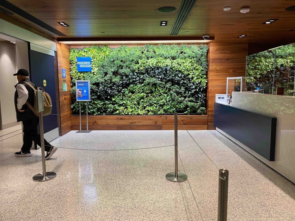 a green wall with plants in the wall