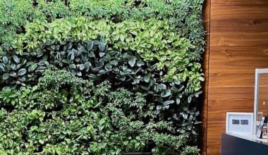 a wall of green plants