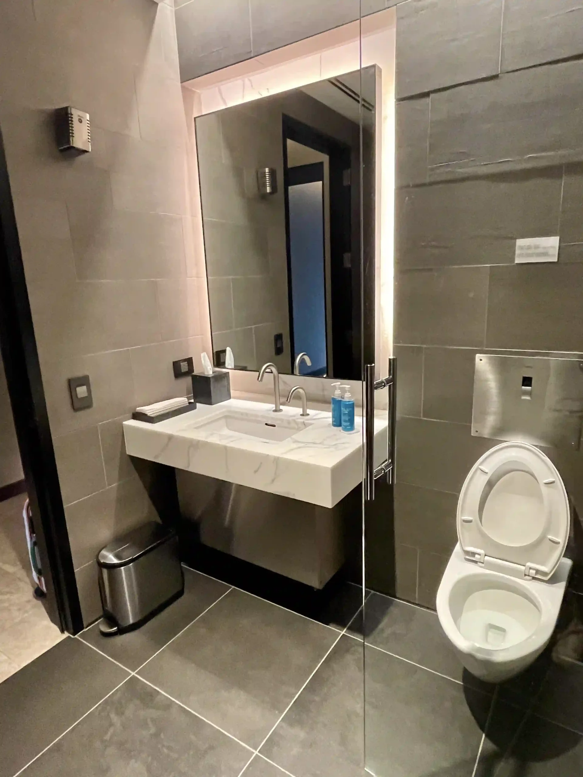 a bathroom with a sink and a toilet