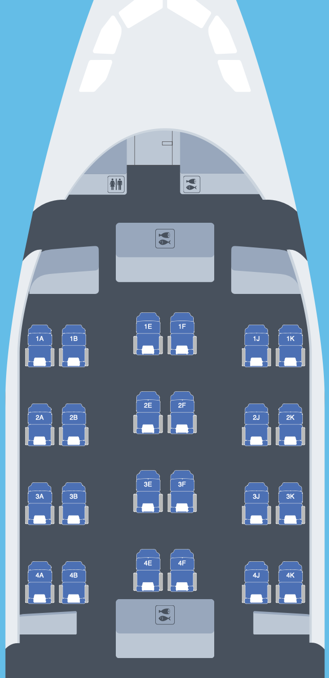 a seat area of an airplane