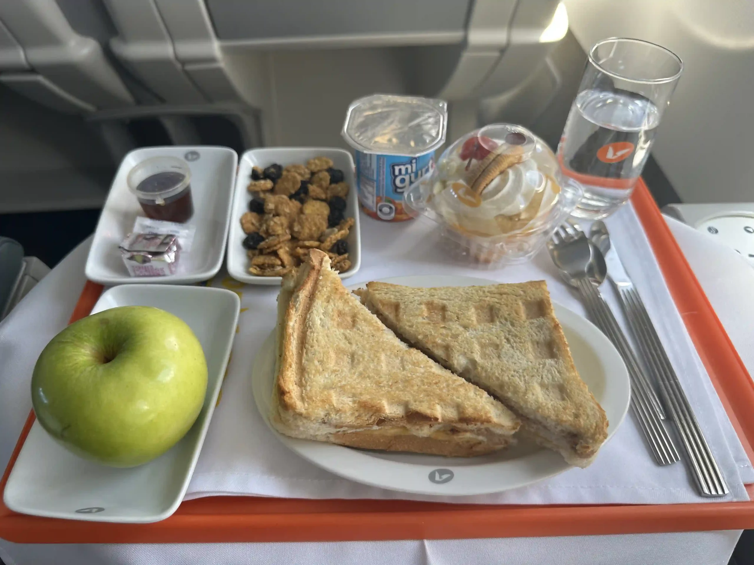 a plate of food on a tray