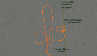 Genitalia shaped flight path over Australia