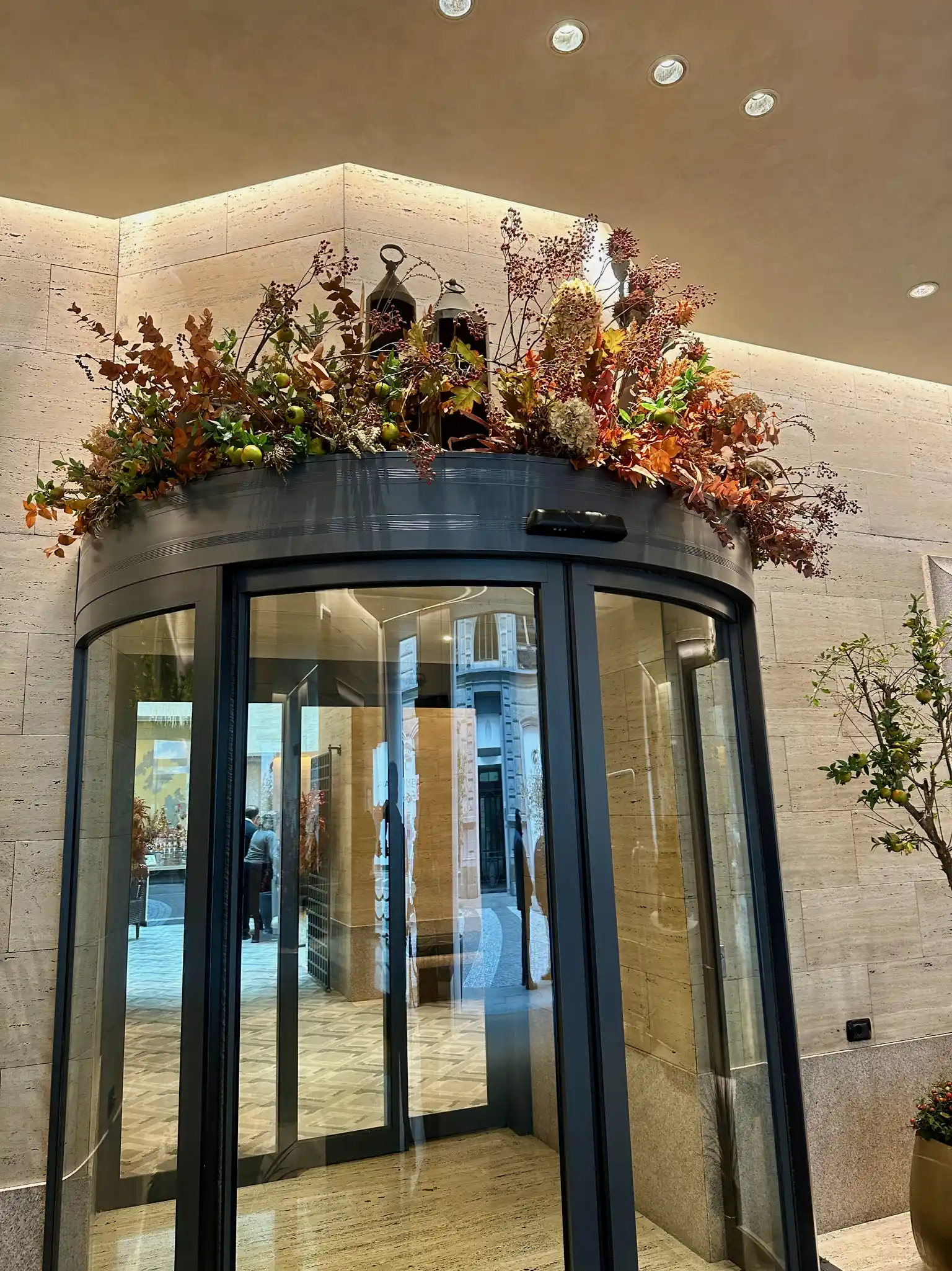 a glass doors with plants on top